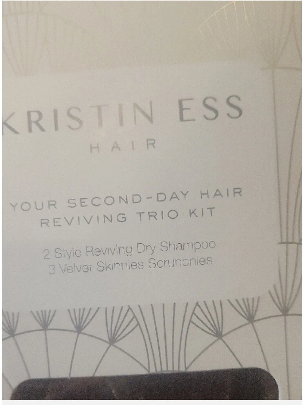 Kristin Ess Hair Your Second-Day Hair Reviving Trio Kit with Dry Shampoo and Scr